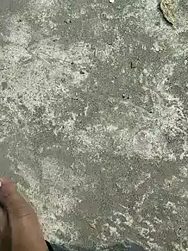 rana cute online show from February 2025 08:21:02 AM