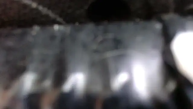 SaraMartins00 online show from December 2024 09:45:02 PM