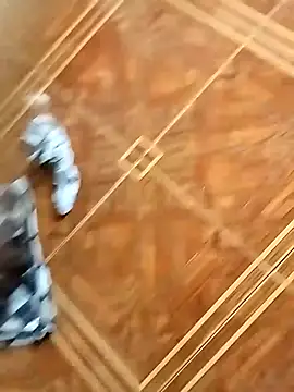 socrathes online show from February 2026 12:26:01 PM