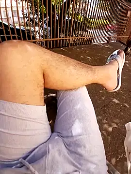 braza66 online show from April 2026 02:47:01 PM