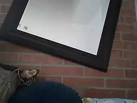 Skater29xx2 online show from March 2025 08:10:02 PM