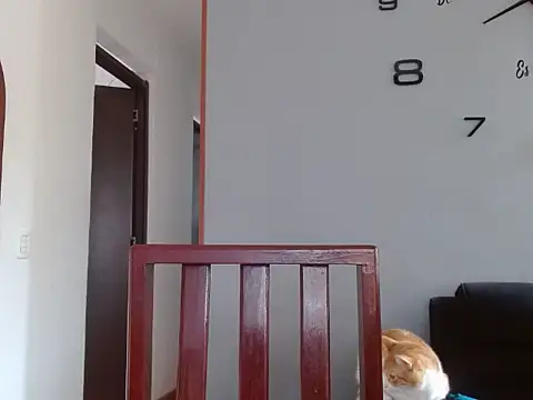 Laura martin  online show from February 2025 01:33:01 PM