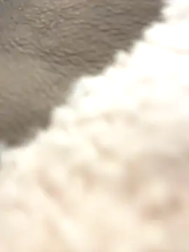 NewLale online show from October 2025 03:38:02 AM