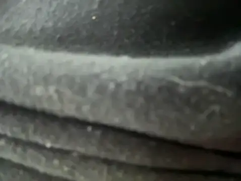 Snapshot of Mila_Morgan chatting on January 2025 12:18:01 AM Mila Morgan online show from January 2025 12:18:01 AM