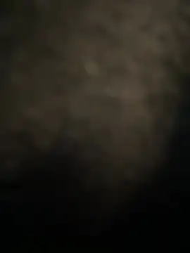 Snapshot of Mila_Morgan chatting on March 2025 10:05:02 PM Mila Morgan online show from March 2025 10:05:02 PM