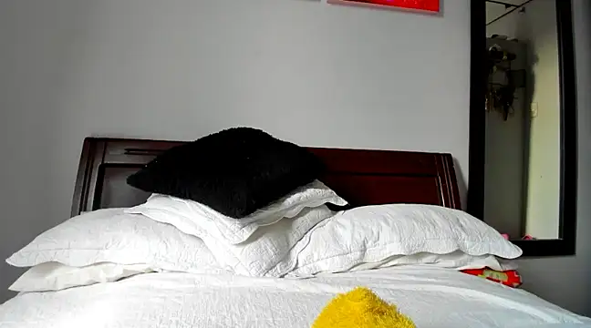 Snapshot of aleziiacam chatting on January 2025 10:10:01 PM aleziiacam online show from January 2025 10:10:01 PM