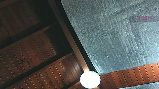 SilvaBranko online show from April 2026 01:06:02 AM