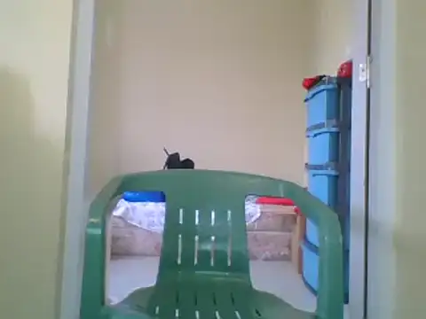 the geisha 2021k online show from January 2025 12:48:01 PM