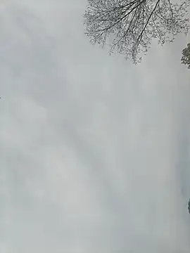 Snapshot of Nkumar173 chatting on February 2025 05:26:02 AM Nkumar173 online show from February 2025 05:26:02 AM