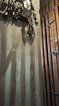 Snapshot of czruz chatting on March 2025 10:22:02 AM czruz online show from March 2025 10:22:02 AM