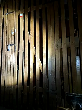 Snapshot of czruz chatting on September 2025 03:35:02 PM czruz online show from September 2025 03:35:02 PM