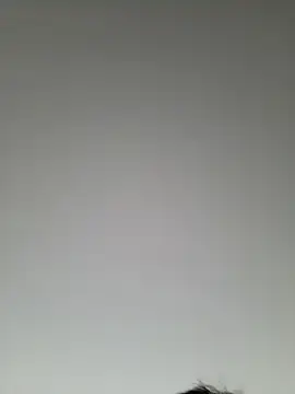 Snapshot of high_andlow420 chatting on March 2025 12:41:01 PM high andlow420 online show from March 2025 12:41:01 PM