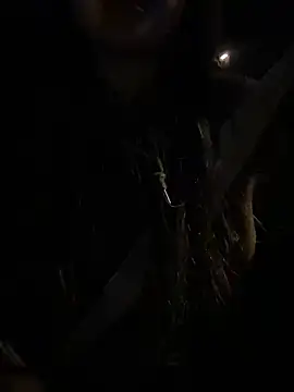 -mirai- online show from February 2025 03:04:02 PM