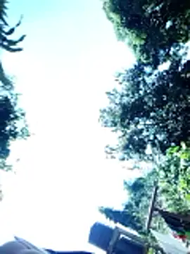 hairyswt pus online show from March 2026 07:30:02 AM