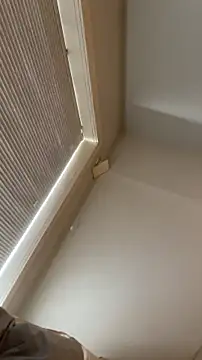 fjtye1w online show from April 2026 07:00:01 AM