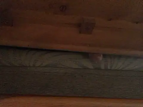 Snapshot of Dicksexhandjob chatting on February 2025 01:33:01 PM Dicksexhandjob online show from February 2025 01:33:01 PM