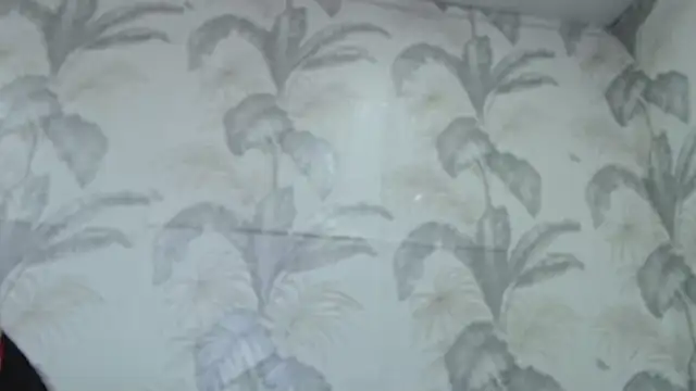 CamDiva113 online show from February 2025 10:07:02 AM