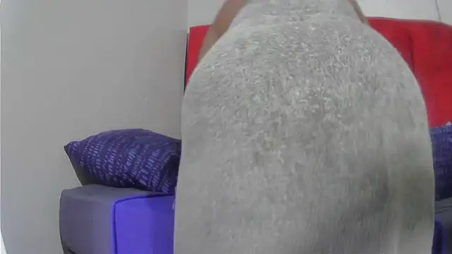 assqueenxx online show from December 2025 04:18:02 AM