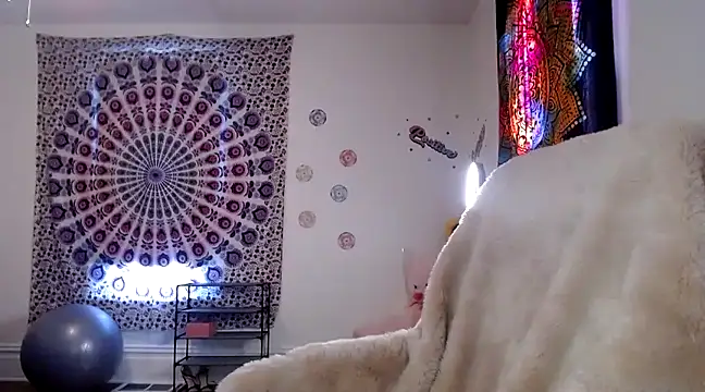 kellywildnnout online show from December 2024 03:33:02 PM