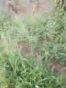 hotpussy-11 online show from December 2024 03:35:01 AM