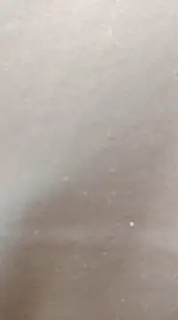 hotpussy-11 online show from January 2025 08:22:01 AM