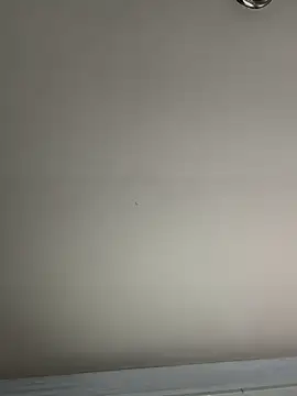 El Gizmo online show from January 2025 07:24:01 PM