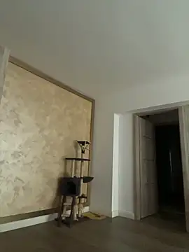 AllysonK online show from February 2026 12:10:01 PM