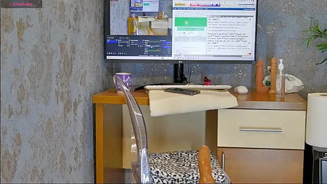 YourBurnWish online show from March 2025 10:32:01 AM