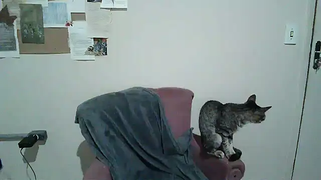 Snapshot of bbyedarling chatting on November 2025 01:50:02 AM bbyedarling online show from November 2025 01:50:02 AM