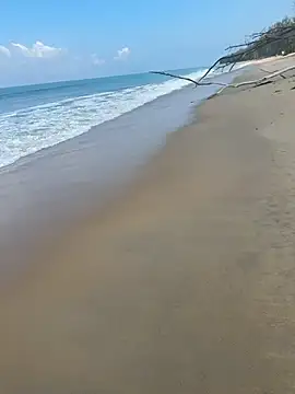 sexntease online show from March 2025 03:08:01 AM