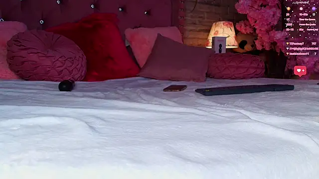 AuroraSim online show from February 2025 04:14:02 PM