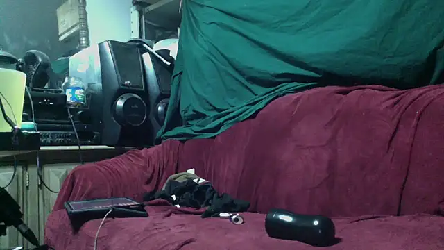 Snapshot of Phelyxx_elgato chatting on November 2025 11:20:02 AM Phelyxx elgato online show from November 2025 11:20:02 AM