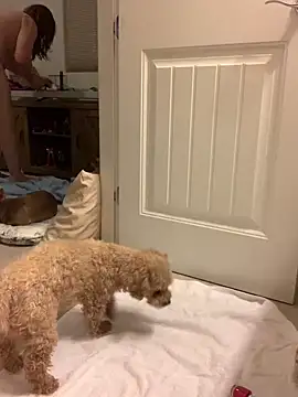 Snapshot of balad13 chatting on January 2025 04:32:01 AM balad13 online show from January 2025 04:32:01 AM