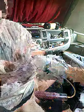 richa22cm online show from November 2025 02:17:01 PM