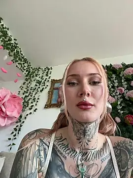 Stella-Kink online show from February 2026 01:01:02 PM