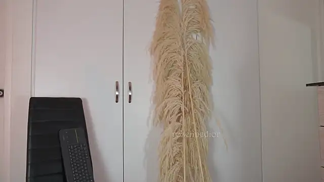 roselinedior online show from October 2025 02:17:02 PM