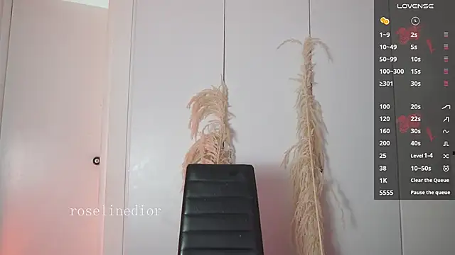 roselinedior online show from January 2026 01:16:01 PM