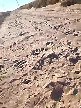 Snapshot of prettyboi6992 chatting on March 2026 11:51:02 PM prettyboi6992 online show from March 2026 11:51:02 PM