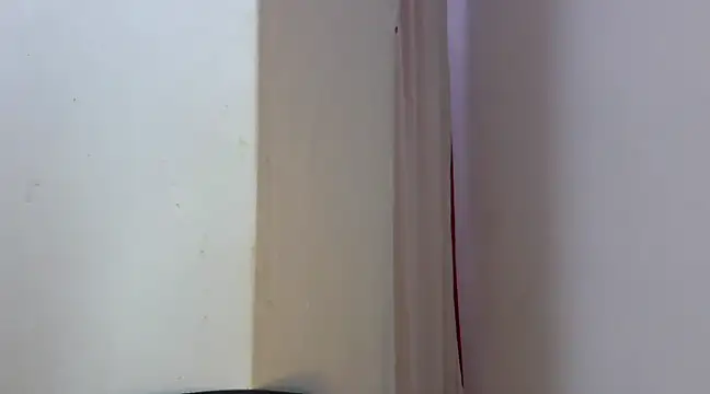 Snapshot of Sexxybella27 chatting on February 2025 07:25:01 PM Sexxybella27 online show from February 2025 07:25:01 PM