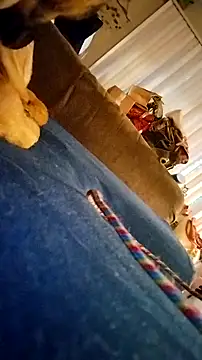 fukurbutt online show from February 2026 03:41:02 PM