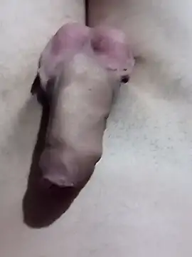 Snapshot of El22_1431 chatting on January 2025 04:39:01 AM El22 1431 online show from January 2025 04:39:01 AM