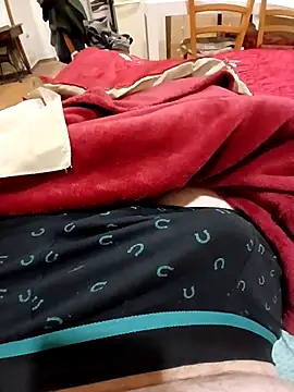 Snapshot of bsx-b chatting on March 2026 04:11:02 PM bsx-b online show from March 2026 04:11:02 PM