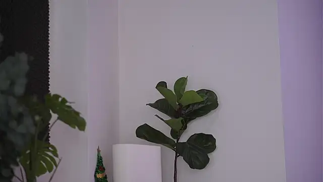 NicoleSarahX online show from February 2025 11:24:01 PM