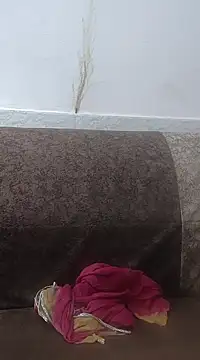 Aaradhya online show from February 2025 03:33:02 AM