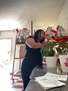 PUSHYLATE online show from December 2025 06:04:02 PM