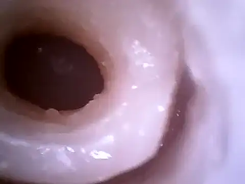 Beijing2000 online show from December 2024 12:29:02 PM