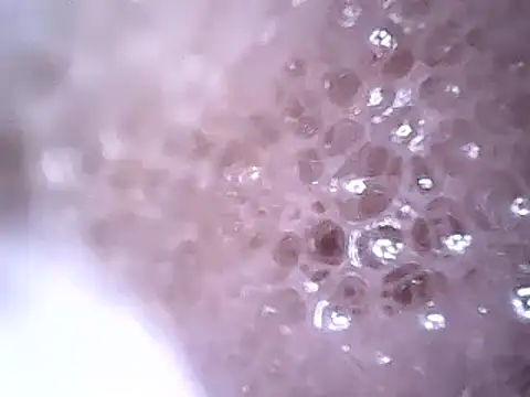 Beijing2000 online show from December 2024 02:45:02 AM