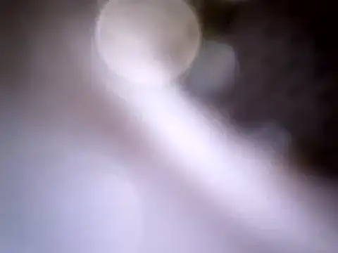 Beijing2000 online show from January 2025 04:04:01 AM