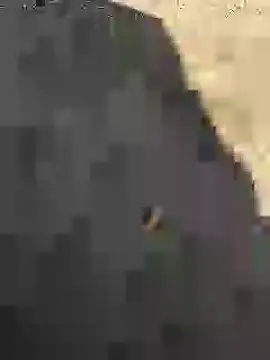 Beijing2000 online show from January 2025 05:14:02 AM