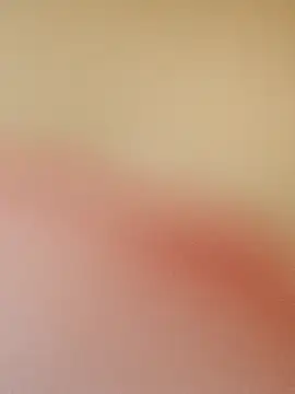zhenzhen521 online show from May 2026 03:18:01 PM